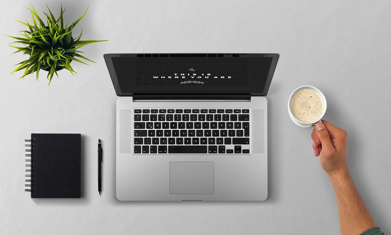 Website creation and development